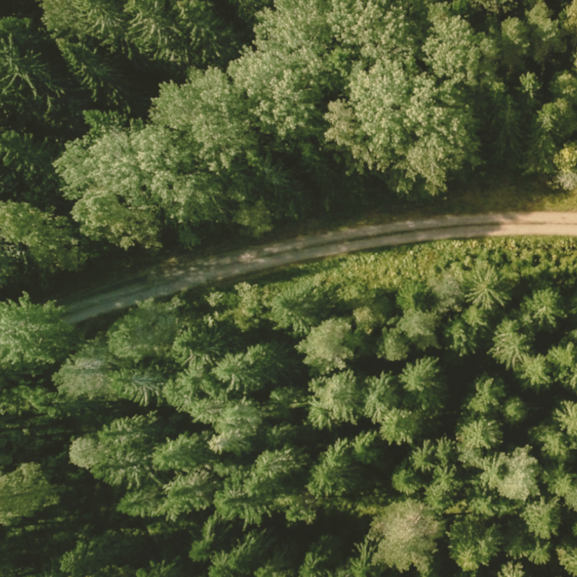 woodenRoad